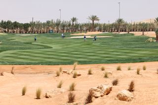 Desert golf green with palms